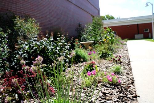 Hastings Pollinator Garden